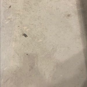 Meet your Posher, Dwayne